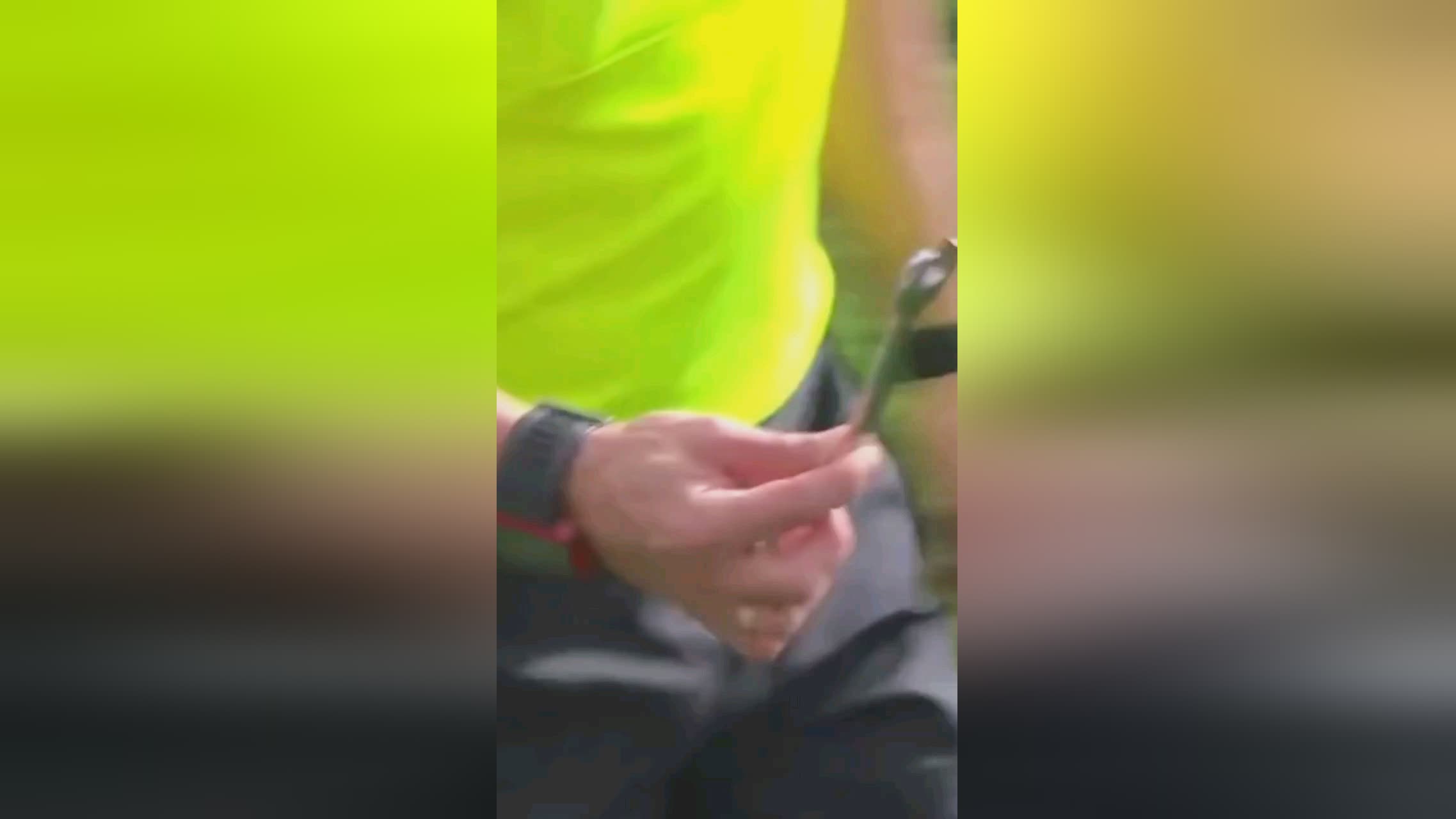 毛球在国际